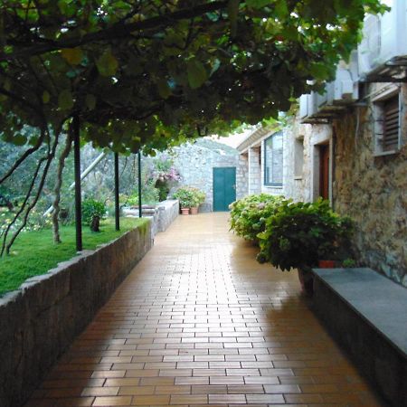 Villa Jelka Apartment Zaton  Bagian luar foto