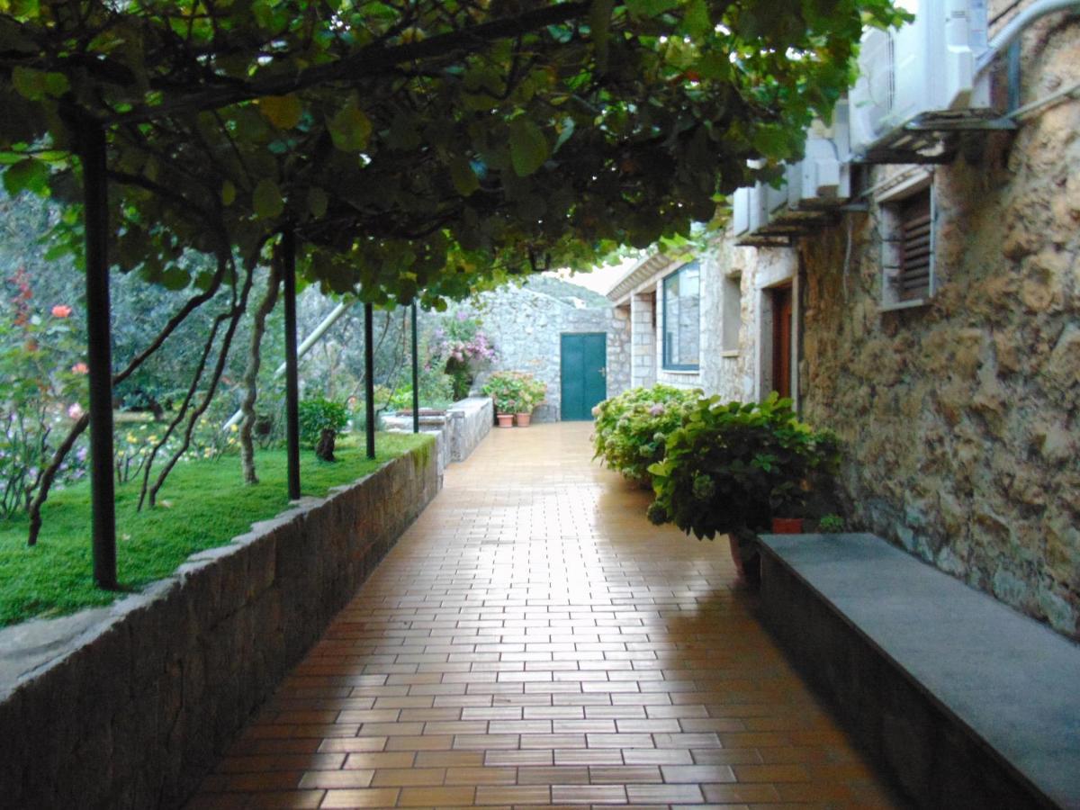 Villa Jelka Apartment Zaton  Bagian luar foto